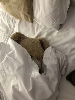 Calvin im Bett